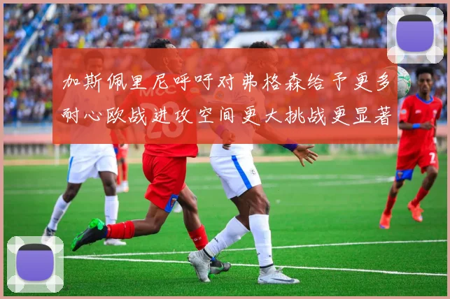 加斯佩里尼呼吁对弗格森给予更多耐心欧战进攻空间更大挑战更显著